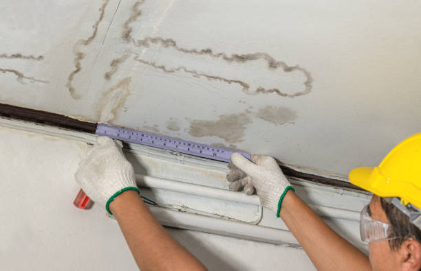 Reliable Sewage Cleanup contractor in Allen Park, MI by Local Water Damage Repair